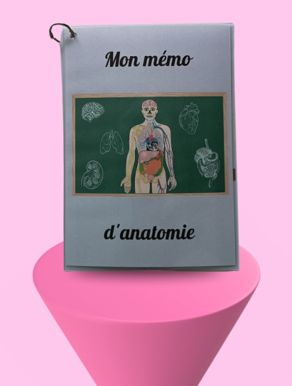Le mémo anatomie