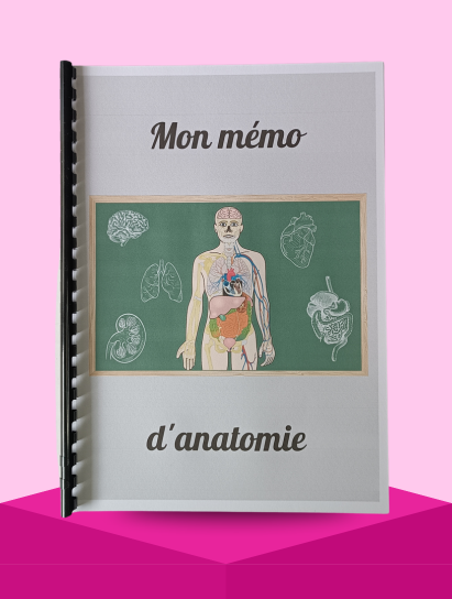 Le mémo anatomie
