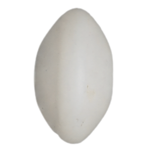 Perles