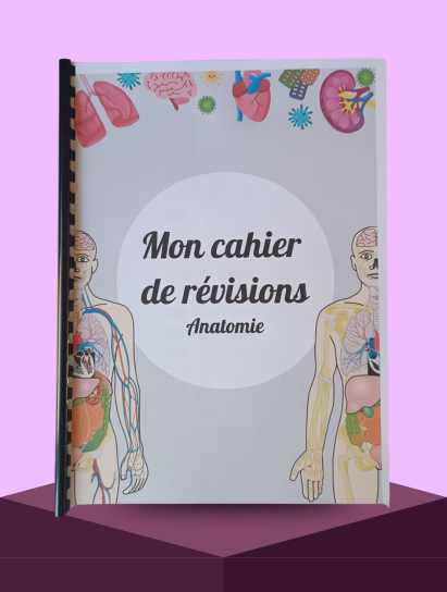 Cahier de révisions Anatomie