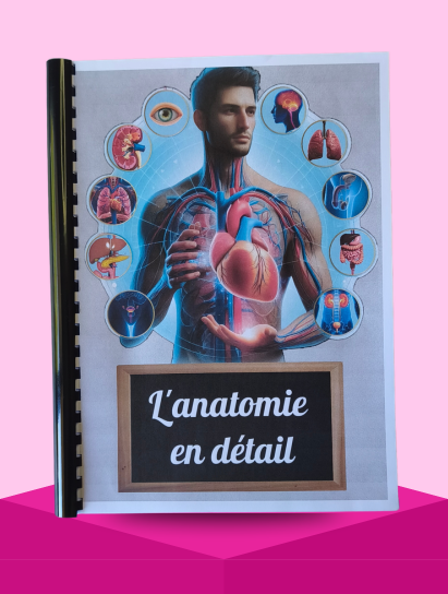Anatomie en détail