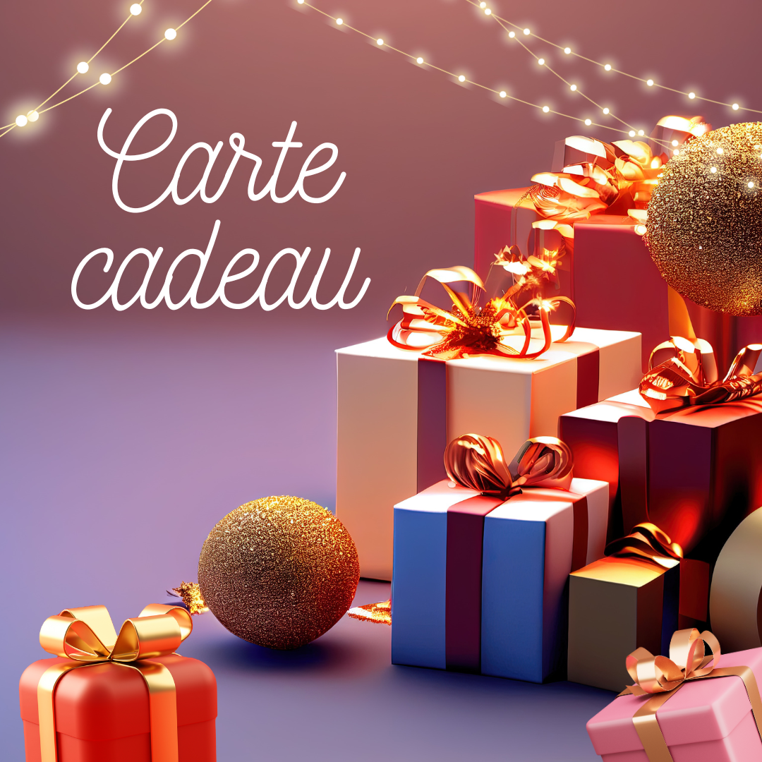Carte - cadeau Ali et ses fiches